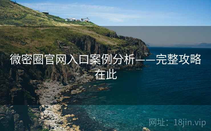 微密圈官网入口案例分析——完整攻略在此